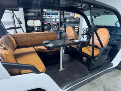 2025 CLUB CAR NEW CUSTOM ORDERED CRU IN STOCK! Golf Cars